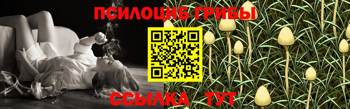 Галлюциногенные грибы MAGIC MUSHROOMS Барнаул